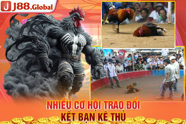 Nhiều cơ hội trao đổi & kết bạn kê thủ Nhiều cơ hội trao đổi & kết bạn kê thủ